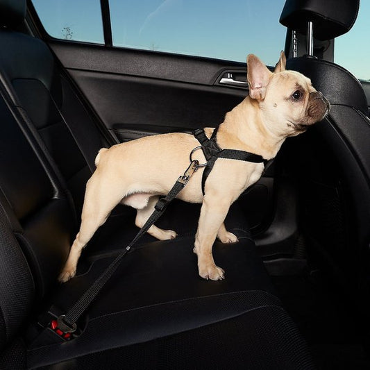 Adjustable Pet Car Seat Belt - Safe Travel for Dogs & Cats!