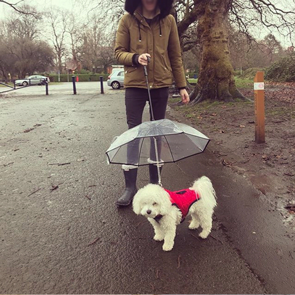 Clear Pet Umbrella for Dogs